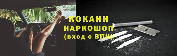 прущие грибы Корсаков