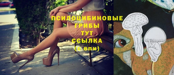 ешки Волосово