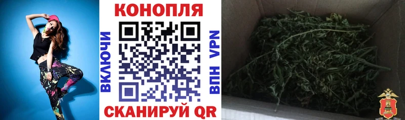 купить   Вышний Волочёк  блэк спрут онион  Бошки Шишки конопля 